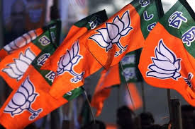प्रधानमंत्री मोदी के विकासवाद और सुशासन की जीत – भाजपा