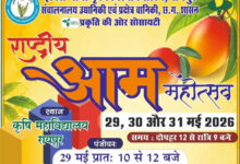 कृषि विवि में तीन दिवसीय राष्ट्रीय आम महोत्सव कल से, 250 से अधिक किस्मों का किया जाएगा प्रदर्शन 
