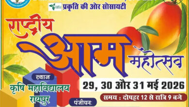 कृषि विवि में तीन दिवसीय राष्ट्रीय आम महोत्सव कल से, 250 से अधिक किस्मों का किया जाएगा प्रदर्शन 