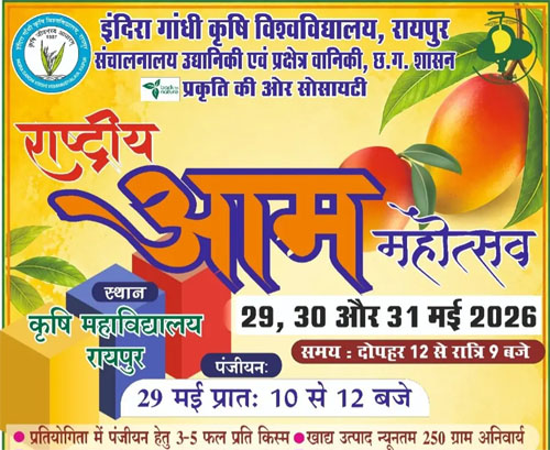 कृषि विवि में तीन दिवसीय राष्ट्रीय आम महोत्सव कल से, 250 से अधिक किस्मों का किया जाएगा प्रदर्शन 