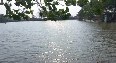 4755 तालाब हुए लबालब भीषण गर्मी से बड़ी राहत, जीवनदान देने जल संसाधन विभाग का विशेष अभियान 4755 तालाब हुए लबालब भीषण गर्मी से बड़ी राहत, जीवनदान देने जल संसाधन विभाग का विशेष अभियान