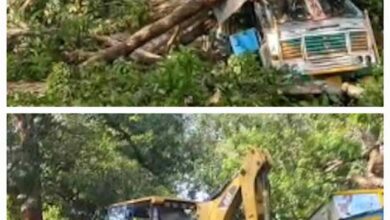 ट्रक पर पेड़ गिरने से जगदलपुर-सुकमा हाइवे पर यातायात हुआ बाधित