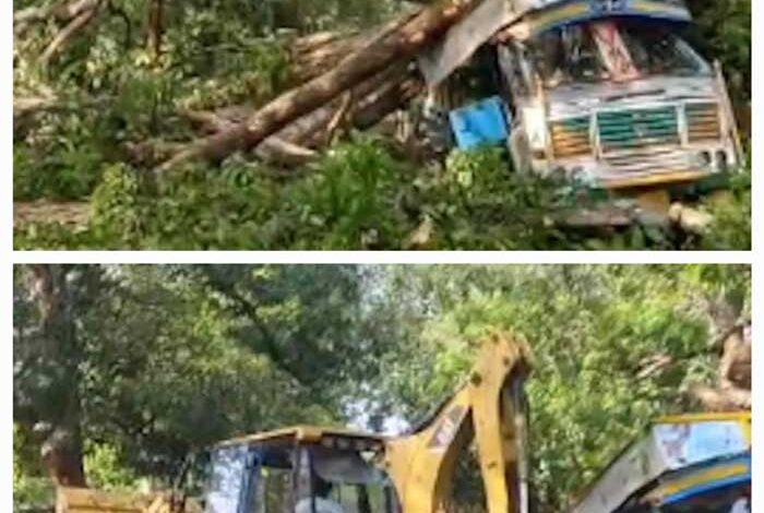 ट्रक पर पेड़ गिरने से जगदलपुर-सुकमा हाइवे पर यातायात हुआ बाधित