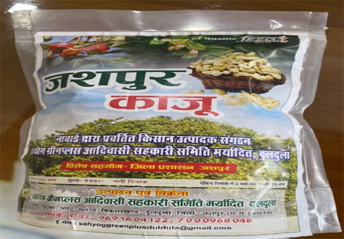 जशपुर का काजू बना किसानों की समृद्धि की नई पहचान, देश के कई राज्यों तक पहुंच रही मिठास