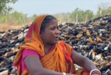 माझीकुटनी गांव के खलिहान में लगी आग, मक्के की फसल जलकर हुआ खाक