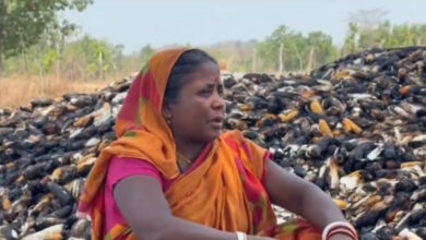 माझीकुटनी गांव के खलिहान में लगी आग, मक्के की फसल जलकर हुआ खाक