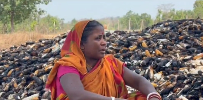 माझीकुटनी गांव के खलिहान में लगी आग, मक्के की फसल जलकर हुआ खाक