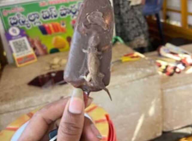 विवाह समारोह पर आइसक्रीम में छिपकली मिलने का वीडियो हुआ वायरल