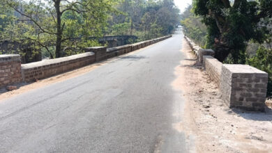 मुख्यमंत्री साय की बड़ी सौगात: जशपुर में श्री नदी पर बनेगा उच्च स्तरीय पुल, तीन राज्यों की कनेक्टिविटी होगी मजबूत