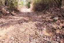 बीजापुर के सीमावर्ती गांव कोत्तापल्ली को मुख्य मार्ग से जोडऩे की मांग