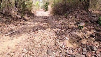 बीजापुर के सीमावर्ती गांव कोत्तापल्ली को मुख्य मार्ग से जोडऩे की मांग