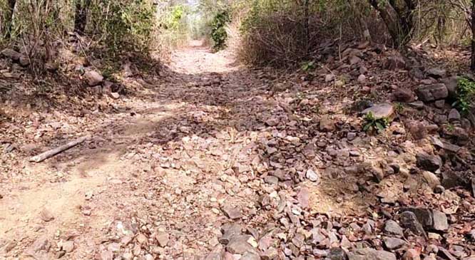 बीजापुर के सीमावर्ती गांव कोत्तापल्ली को मुख्य मार्ग से जोडऩे की मांग बीजापुर के सीमावर्ती गांव कोत्तापल्ली को मुख्य मार्ग से जोडऩे की मांग