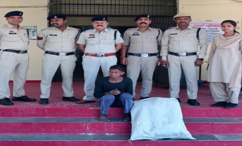 खड़गवां थाना के ग्राम मंगोरा में खेतों के बीच उगाए गए 36 पौधे जब्त