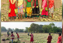 नक्सलवाद के खात्मे के बाद अंतिम छोर पर स्थित गोगुंडा में बदलाव दिखने लगा 