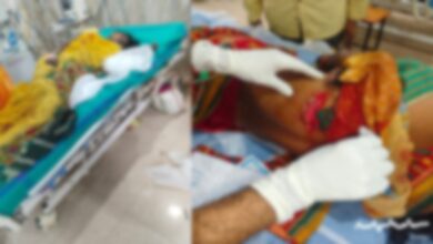 कोहलाकसा के जंगल में तेंदूपत्ता तोडऩे गई महिलाओं पर सूअर ने किया हमला, 5 गंभीर, एक ही हालत नाजुक