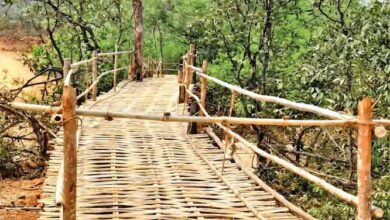 अबूझमाड़ के दुर्गम इलाके में मानसून की चुनौती से निपटने बनाया 60 मीटर लंबा पुल 