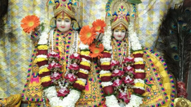 1 जून से प्रारंभ होगा 16 दिवसीय श्री नारायण महामहोत्सव