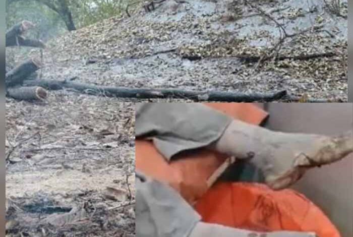 बंद परिसर में पड़े केमिकल वेस्ट से धधकते आग के चपेट में आ रहे बच्चे, मवेशी व अन्य बंद परिसर में पड़े केमिकल वेस्ट से धधकते आग के चपेट में आ रहे बच्चे, मवेशी व अन्य