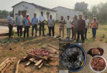 जंगली सूअर के मांस की बिक्री पर वन विभाग की बड़ी कार्रवाई, 14 किलो मांस जब्त