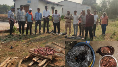 जंगली सूअर के मांस की बिक्री पर वन विभाग की बड़ी कार्रवाई, 14 किलो मांस जब्त