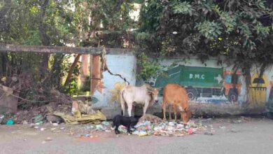 भोपाल स्वच्छता रैंकिंग पर सवाल सर्वे टीम के सामने भी गंदगी, नंबर-1 का दावा फिर जांच के घेरे में