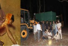 बांधवगढ़ में बाघ का हमला और हाथी का रेस्क्यू, जंगल से गांव तक मचा हड़कंप