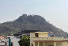 क्रॉस हिल पर गूंजी डरावनी आवाजें, पहाड़ी पर दिखे कई जंगली भालू
