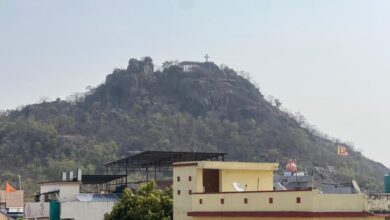 क्रॉस हिल पर गूंजी डरावनी आवाजें, पहाड़ी पर दिखे कई जंगली भालू क्रॉस हिल पर गूंजी डरावनी आवाजें, पहाड़ी पर दिखे कई जंगली भालू