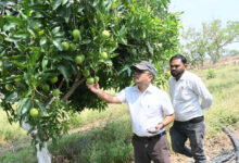 फसल विविधिकरण से बदली किसान कुंवर सिंह की तस्वीर