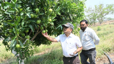 फसल विविधिकरण से बदली किसान कुंवर सिंह की तस्वीर