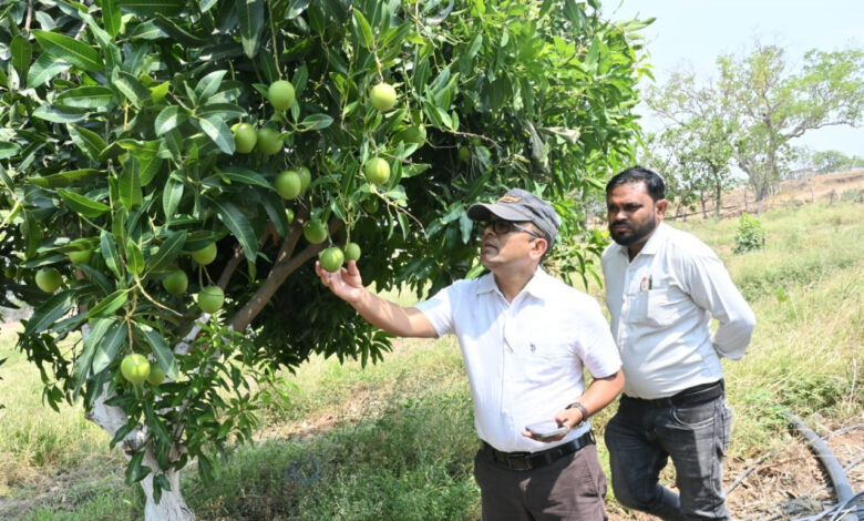 फसल विविधिकरण से बदली किसान कुंवर सिंह की तस्वीर