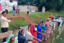 मोर गांव – मोर पानी महाअभियान से मोहला-मानपुर-अम्बागढ़ चौकी बना जल संरक्षण का मॉडल जिला