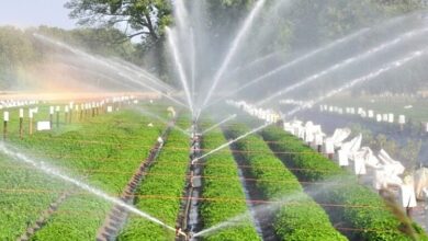 33.70 करोड़ की पुनरीक्षित प्रशासकीय स्वीकृति से 1000 हेक्टेयर में बढ़ेगा सिंचाई का रकबा