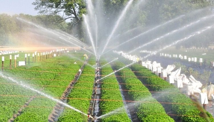 33.70 करोड़ की पुनरीक्षित प्रशासकीय स्वीकृति से 1000 हेक्टेयर में बढ़ेगा सिंचाई का रकबा