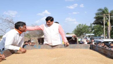 एमपी ने MSP गेहूं खरीदी में बनाया रिकॉर्ड, 102 लाख मीट्रिक टन के साथ देश में नंबर-1