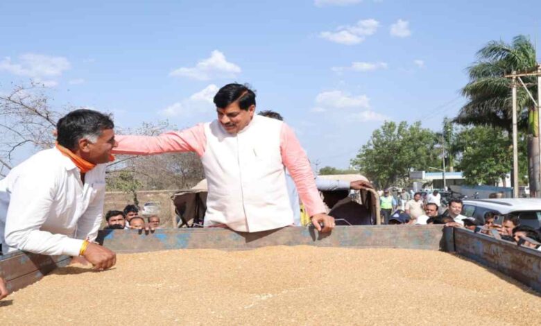 एमपी ने MSP गेहूं खरीदी में बनाया रिकॉर्ड, 102 लाख मीट्रिक टन के साथ देश में नंबर-1