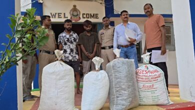देवभोग में पुलिस की बड़ी कार्रवाई फिल्मी अंदाज में घेराबंदी, 75 लाख का गांजा बरामद, 5 तस्कर गिरफ्तार