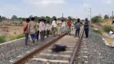 आलीराजपुर में रेल ट्रैक पर युवक का शव मिलने से हड़कंप, पुलिस जांच में जुटी आलीराजपुर में रेल ट्रैक पर युवक का शव मिलने से हड़कंप, पुलिस जांच में जुटी