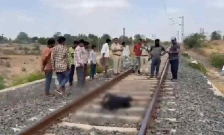 आलीराजपुर में रेल ट्रैक पर युवक का शव मिलने से हड़कंप, पुलिस जांच में जुटी