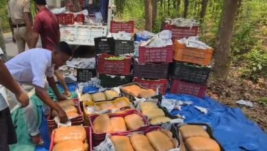 आम के ट्रे में छिपाकर ले जाया जा रहा 1 करोड़ का गांजा पकड़ा गया