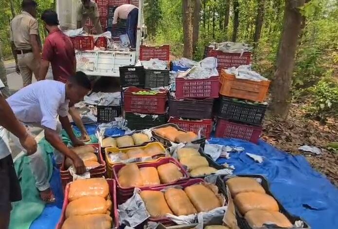 आम के ट्रे में छिपाकर ले जाया जा रहा 1 करोड़ का गांजा पकड़ा गया