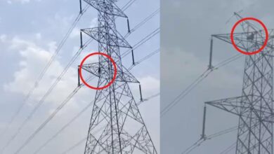 धमतरी में टॉवर पर चढ़ा युवक, लगातार दूसरे दिन हाई वोल्टेज ड्रामा से मचा हड़कंप