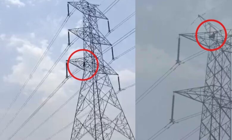 धमतरी में टॉवर पर चढ़ा युवक, लगातार दूसरे दिन हाई वोल्टेज ड्रामा से मचा हड़कंप