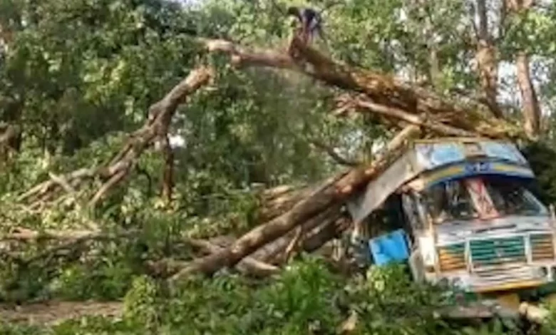 जगदलपुर-सुकमा हाईवे पर पेड़ गिरने से यातायात प्रभावित