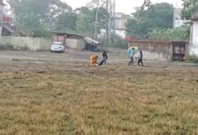 अनूपपुर में दर्दनाक हादसा, बिजली गिरने से युवक-युवती की मौत