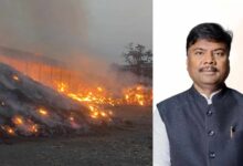 डीएफओ हटाए गए, वन मंत्री केदार कश्यप ने दिए सख्त निर्देश