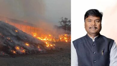 डीएफओ हटाए गए, वन मंत्री केदार कश्यप ने दिए सख्त निर्देश