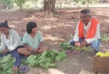 मानपुर जंगल में बाघ की हलचल, वन अमला और ग्रामीण सतर्क