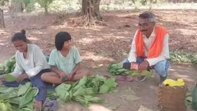 मानपुर जंगल में बाघ की हलचल, वन अमला और ग्रामीण सतर्क
