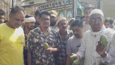 आम मंडी में मंत्री का अचानक दौरा किसानों से मुलाकात, प्रशासन में मचा हड़कंप